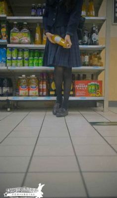 康熙微服私访记 电视剧