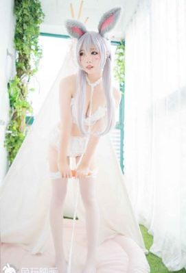 全职猎人全集